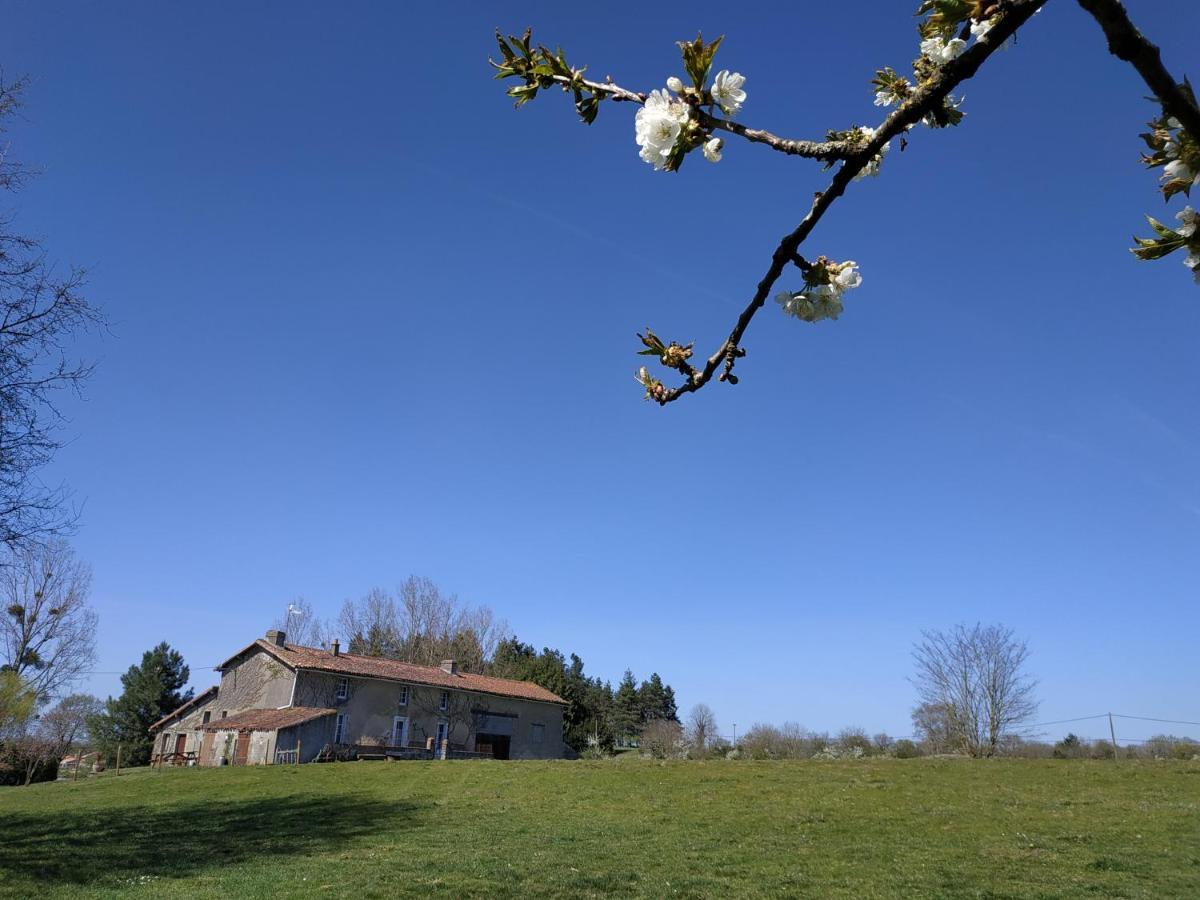 Maison Au Calme Avec Vue Etang Clesse  외부 사진