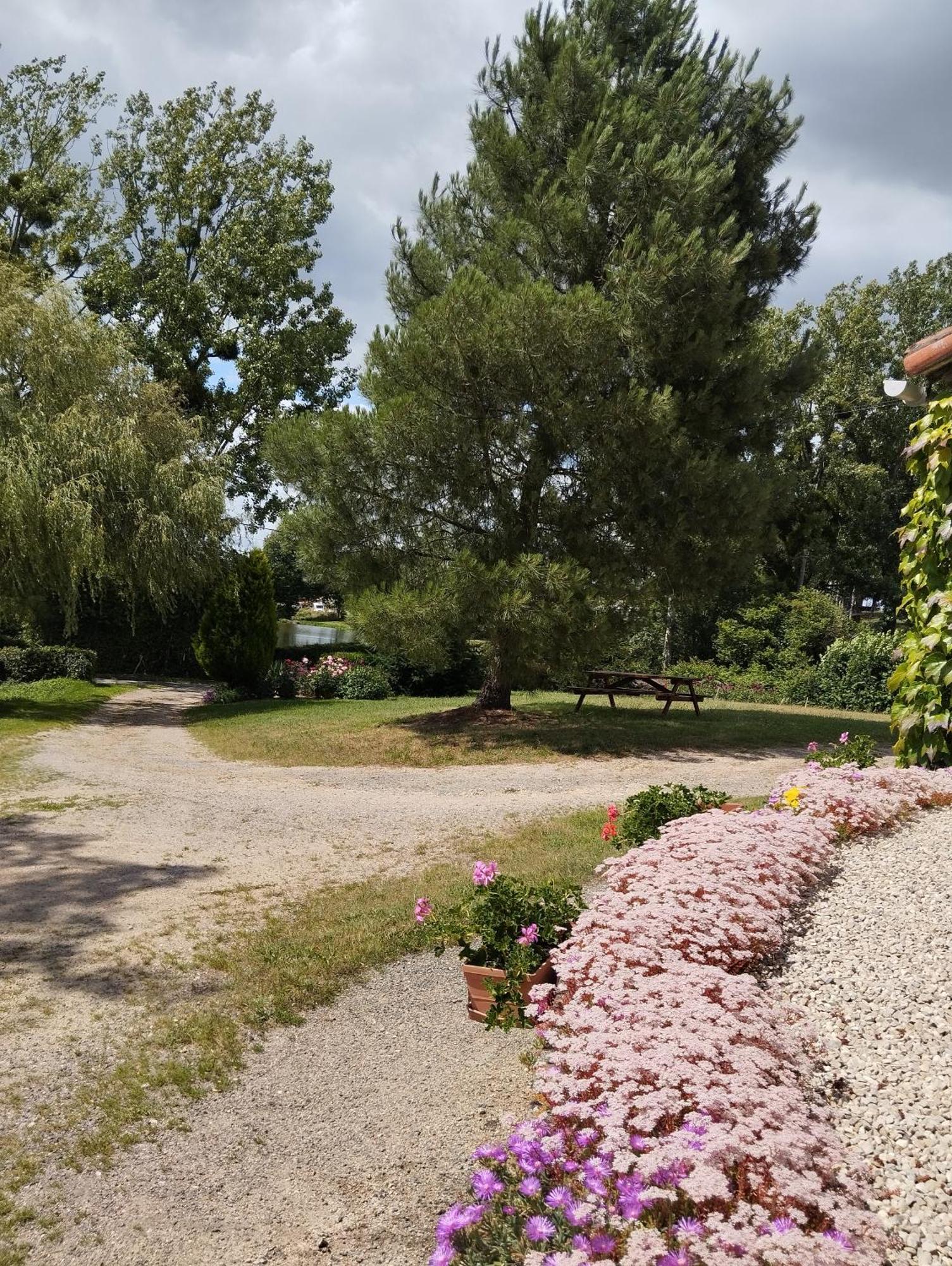 Maison Au Calme Avec Vue Etang Clesse  외부 사진
